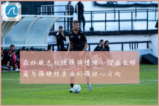 森林狼总经理强调情绪心智成长球商与强硬特质为补强核心方向