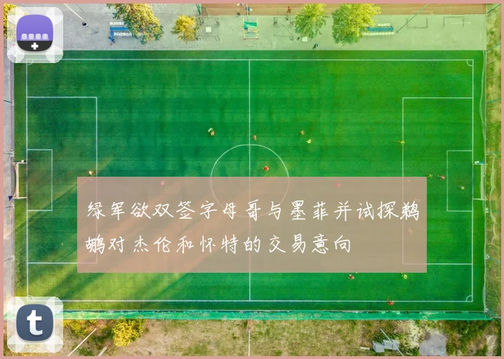 绿军欲双签字母哥与墨菲并试探鹈鹕对杰伦和怀特的交易意向
