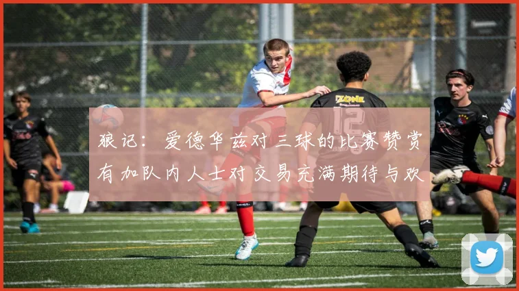 狼记：爱德华兹对三球的比赛赞赏有加队内人士对交易充满期待与欢欣
